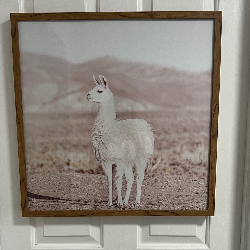 Framed Llama Art Print